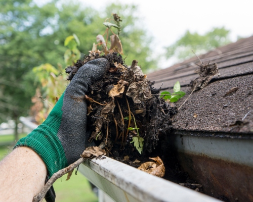 Cleaning the Gutter