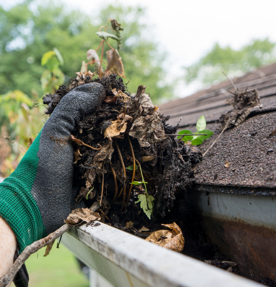 Gutter Cleaning Services