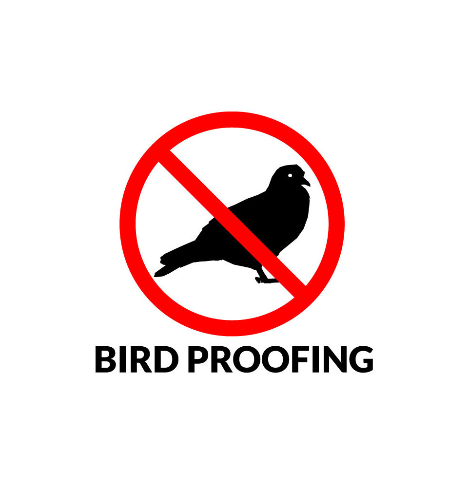 Bird Proofing Services