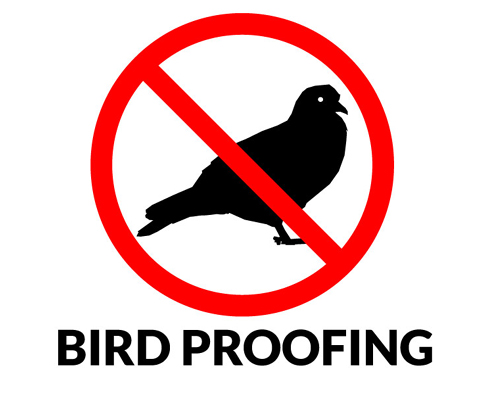 bird proofing