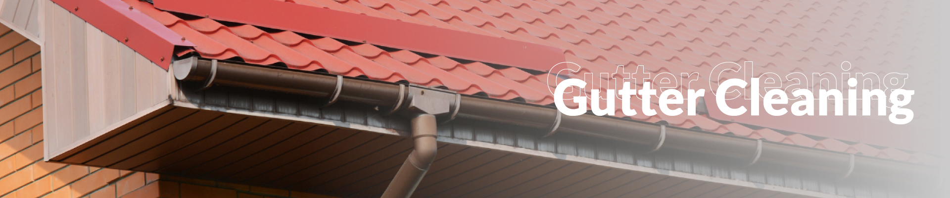Gutter Cleaning